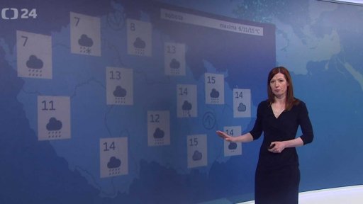 Zpravodajský servis