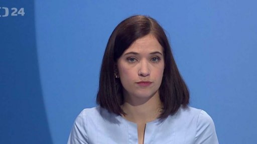 Zpravodajský servis