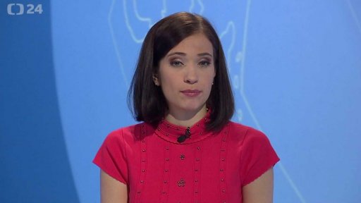 Zpravodajský servis