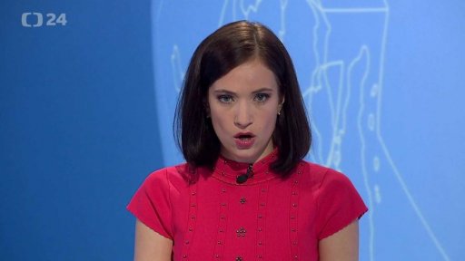 Zpravodajský servis