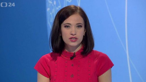 Zpravodajský servis