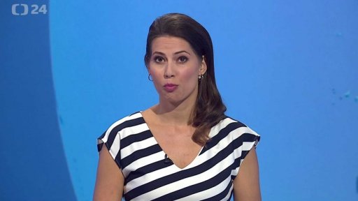 Zpravodajský servis