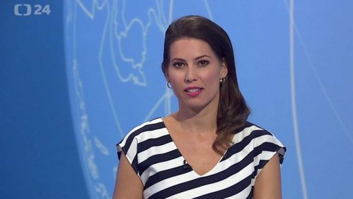 Zpravodajský servis