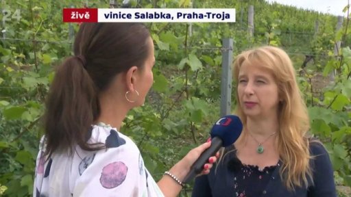 Pražské vinice 2019