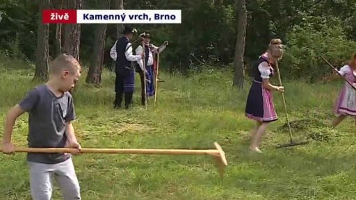 Den pro Kamenný vrch