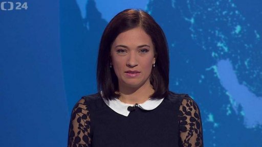 Zpravodajský servis