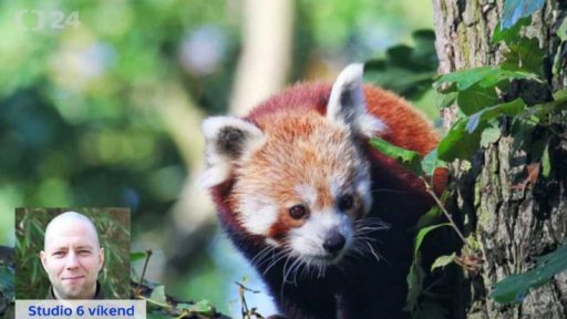 Pozvánky na víkend