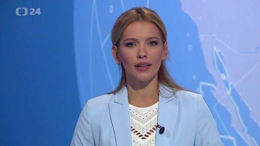 Zpravodajský servis