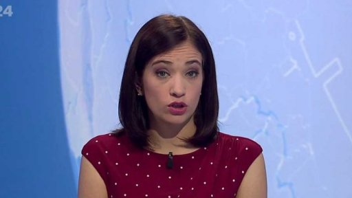 Zpravodajský servis