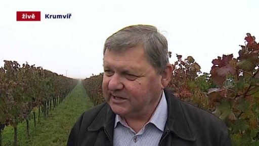 Změna klimatu dopadne i na vinice