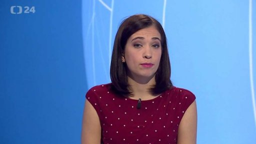 Zpravodajský servis