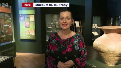 Mezinárodní den archeologie