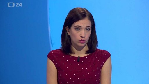 Zpravodajský servis