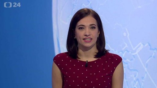 Zpravodajský servis