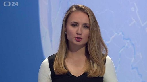 Zpravodajský servis