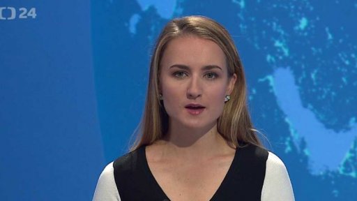 Zpravodajský servis