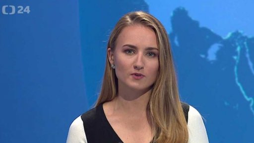 Zpravodajský servis