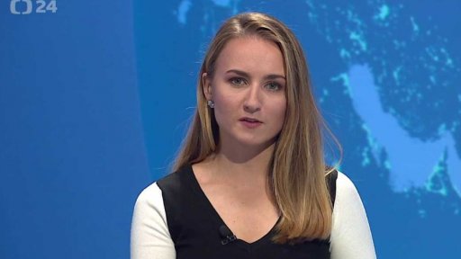 Zpravodajský servis