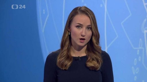 Zpravodajský servis