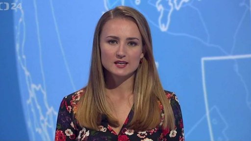 Zpravodajský servis