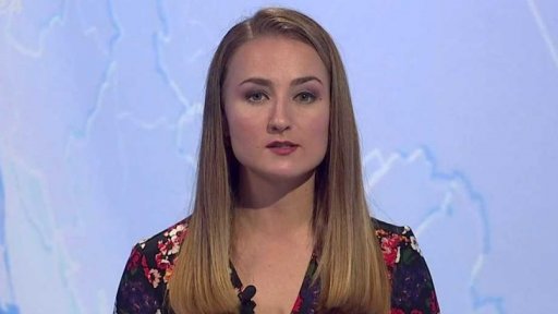 Zpravodajský servis