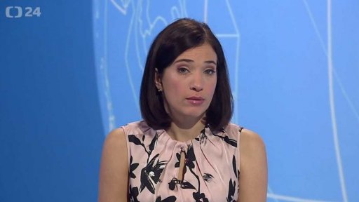 Zpravodajský servis