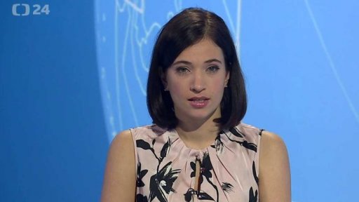 Zpravodajský servis