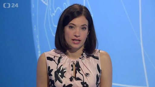 Zpravodajský servis