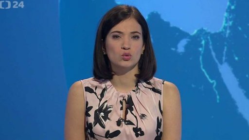 Zpravodajský servis