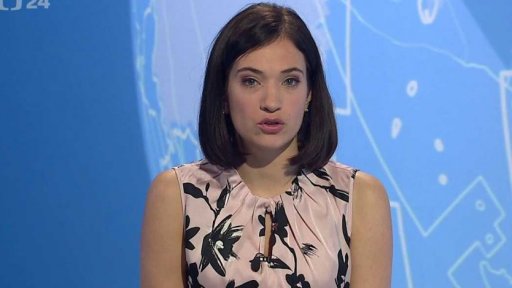 Zpravodajský servis