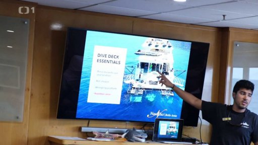 Mexiko: Potápění se žraloky