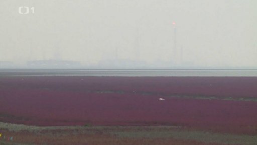 Čína: Červená pláž