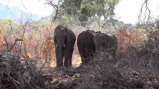 Po stopách Emila Holuba