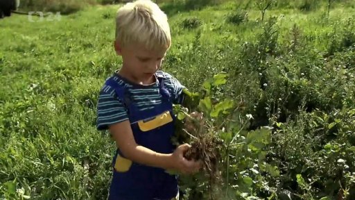 Potravinová soběstačnost jako životní styl