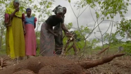 Mobilní laboratoř zachraňuje úrodu