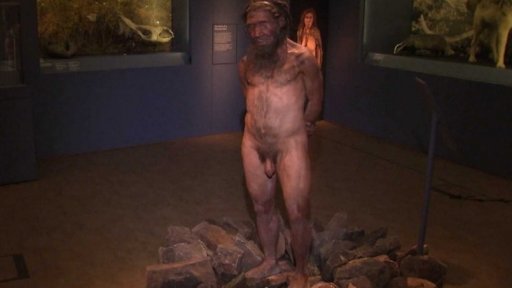 Přepisování znalostí o neandrtálcích