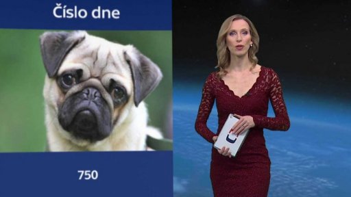 Zajímavé údaje dne