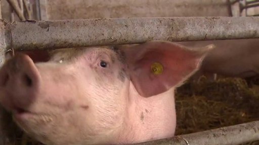 Nebezpečné emise a zemědělství + rozhovor s M. Šrůtkem