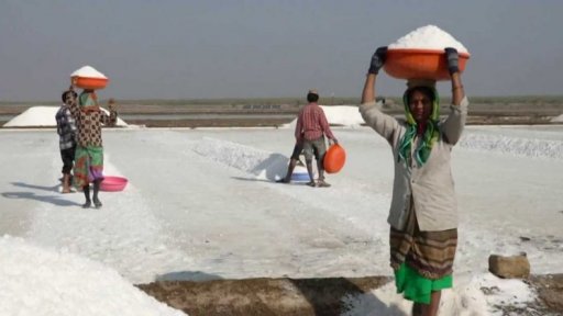 Solná poušť Kutch: ráj i peklo v jednom