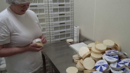 Spory o budoucnost sýru Camembert