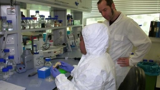 Anglická společnost 16. století