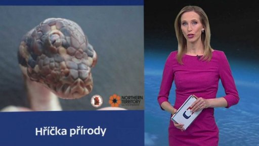 Zajímavé údaje dne