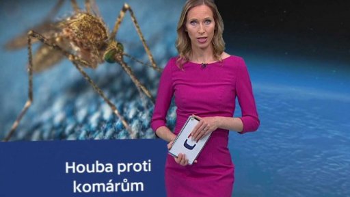 Zajímavé údaje dne