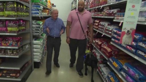 Psi v roli terapeutů PTSD