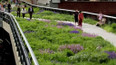 High Line Park: místo pro umění i zeleň