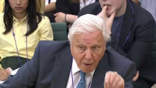 David Attenborough důrazně varuje