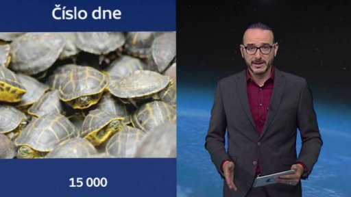 Zajímavé údaje dne