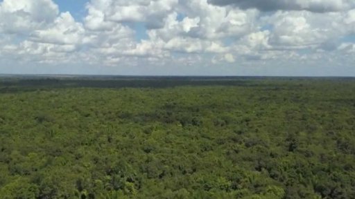 Rekordní úbytek brazilského pralesa + rozhovor s R. Matulou