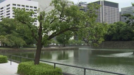 Jakarta plánuje obří hráz proti moři + rozhovor s A. Fardou