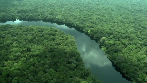 Emise a budoucnost zemědělství